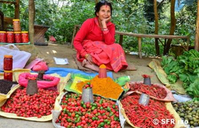Nepalesische Frau auf einem lokalen Markt