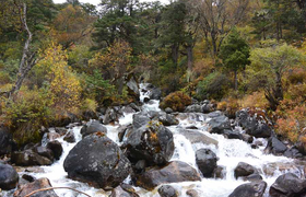 Bergbach in Bhutan