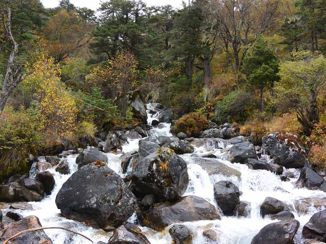 Bergbach in Bhutan