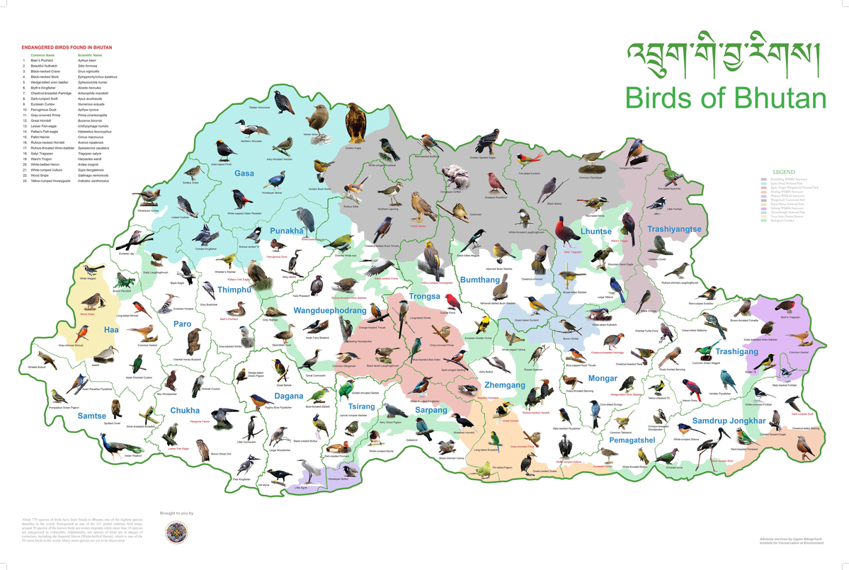 Vögel in Bhutan