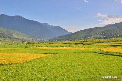 Beste Reisezeit für Bhutan