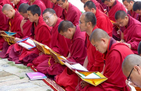 Mönche beim Studium von Texten Gomphu Kora
