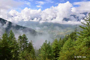 Bhutan Wald