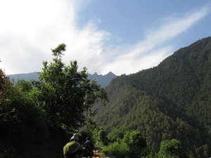 Ausblick auf bhutanischen Wald